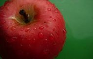 افزایش قدرت باروری با مصرف سیب