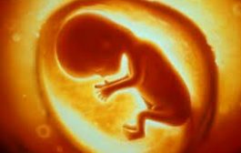 ZIFT: انتقال جنین به لوله های رحمی