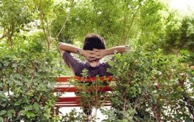 کارکرد های اوقات فراغت